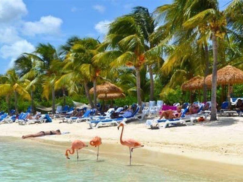 Aruba Blue Village Hotel And Apartments パームビーチ エクステリア 写真