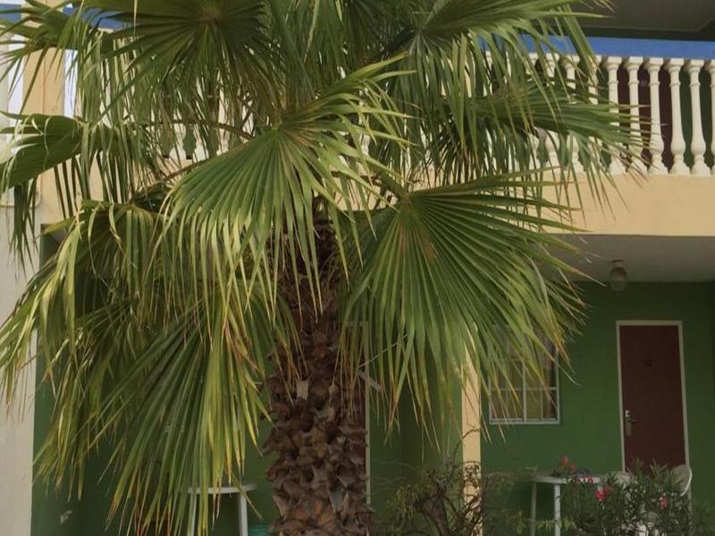 Aruba Blue Village Hotel And Apartments パームビーチ エクステリア 写真